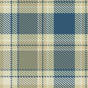 Sage Green and Teal Blue Apothecary Box Plaid