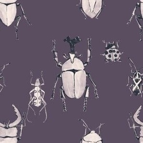 Beetle_Violet-gray_Line (small scale)