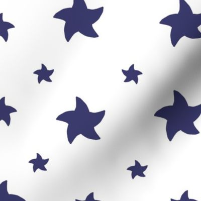 Blue American Flag Stars on White 