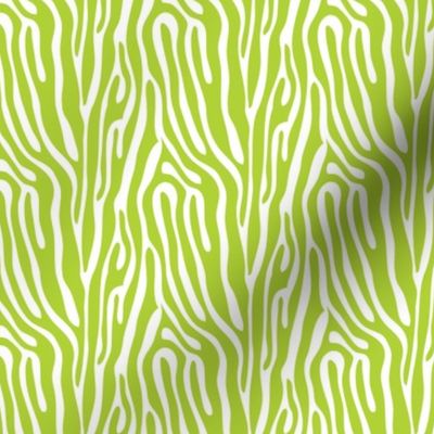 girls rock green zebra stripes