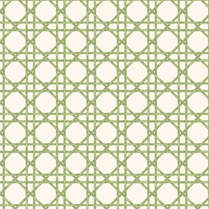 Green Bamboo-Rattan Weave Pattern 