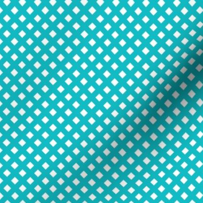 Turquoise Check Diagonal- Retro Geometric- Coordinate