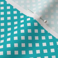 Turquoise Check Diagonal- Retro Geometric- Coordinate