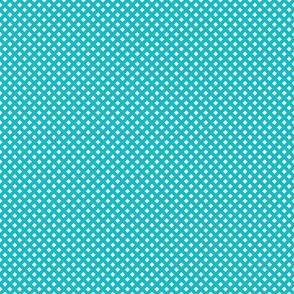 Turquoise Check Diagonal- Retro Geometric- Coordinate