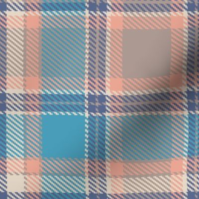 Sky Blue Pink and Blue Apothecary Box Plaid
