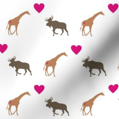 Giraffe Moose Love