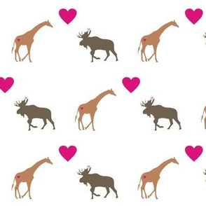 Giraffe Moose Love
