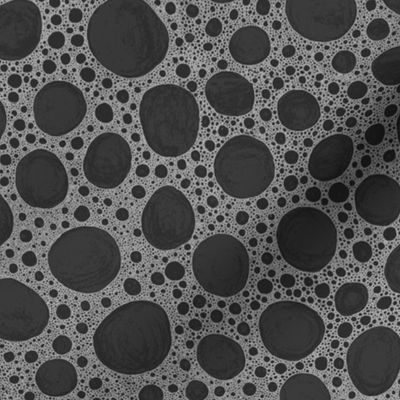bone micrograph in grey