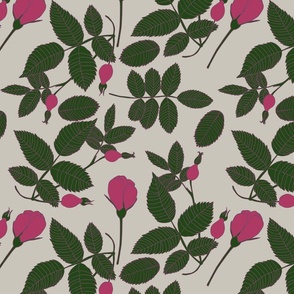 Wild Rose Buds and Hips on Light Green