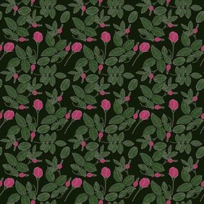 Wild Rose Buds and Hips on Dark Green