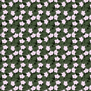 Wild Rose Flowers on Dark Green