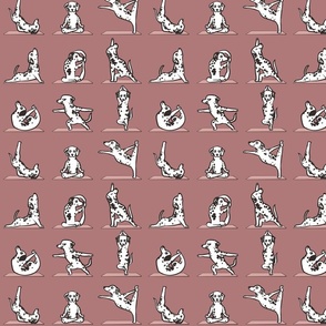 Dalmatian Yoga_8x8