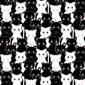 A bunch of black and white cats | Medium scale