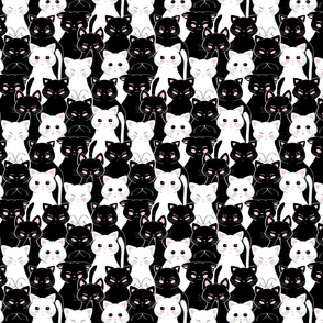 A bunch of black and white cats | Small scale