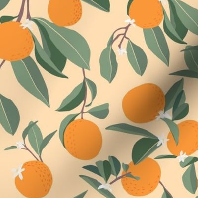 Orange Grove in Orange Background 