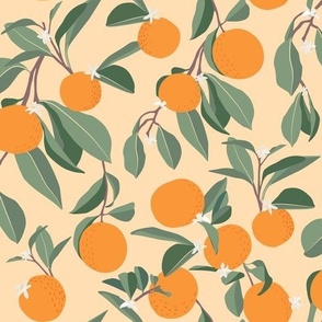 Orange Grove in Orange Background 