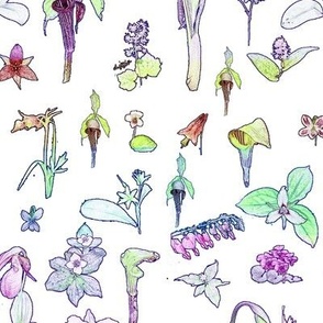 Flash Tattoo Ephemerals by Terrene Garden