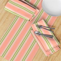 Coral Pink Linen and Green Vertical Stripe
