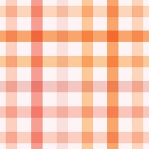 Colorful Gingham 8x8