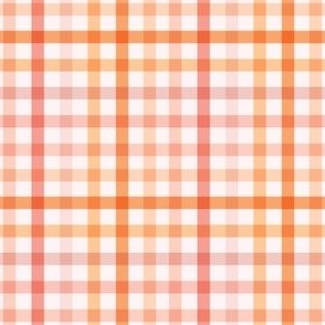 Colorful Gingham 3x3