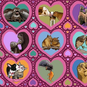Animals Funny Valentine