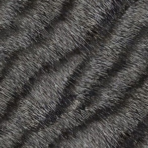 Cat Fur Tabby stripes black gray white