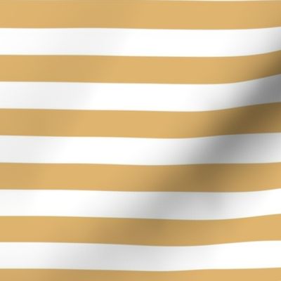 Golden stripes - honey, beige, beige stripes, golden lines, retro stripes