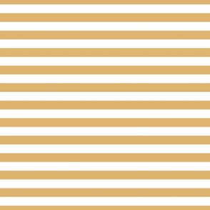 Golden stripes - honey, beige, beige stripes, golden lines, retro stripes