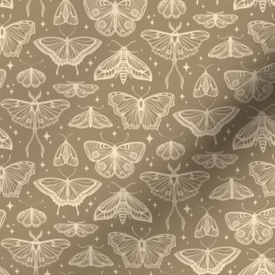 Moths & Butterflies // Small // Greige