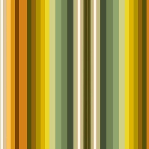 Rabbits / Sonoran desert coordinate 2 warm stripes