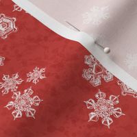 Snowflake Textured Blender (Medium) - Bright Poppy Red (TBS204) 