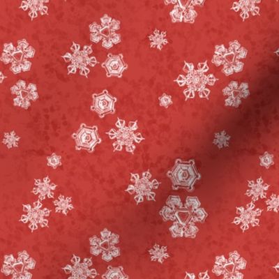 Snowflake Textured Blender (Medium) - Bright Poppy Red (TBS204) 