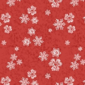 Snowflake Textured Blender (Medium) - Bright Poppy Red (TBS204) 