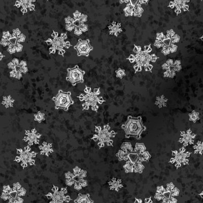 Snowflake Textured Blender (Medium) - White on Black (TBS204) 