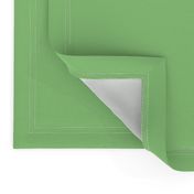 solid light green (98D485)