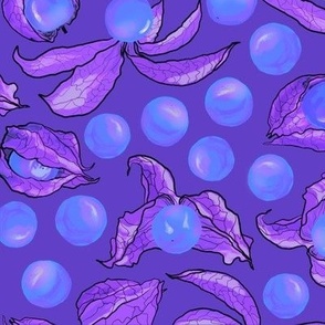physalis psychedelic violet
