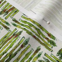 Asparagus check smaller scale