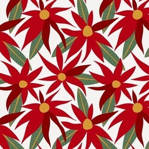 Poinsettia