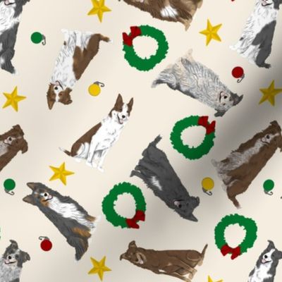 Tiny Black and Brown Border Collies - Christmas