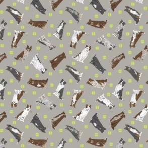 Brown Border Collie Animal Pattern Style by Colorful Jean Baptiste ·  Creative Fabrica