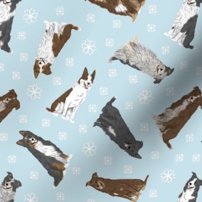 Tiny Black and Brown Border Collies - winter snowflakes