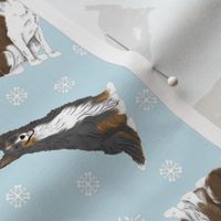 Tiny Black and Brown Border Collies - winter snowflakes