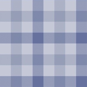 Gingham Check | Frosted Periwinkle | Cottagecore