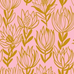 lukka (Leucadendron wild flower) pink -  gold