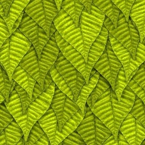 pointsetta-leaves-petals-green-gold-yellow-12-12