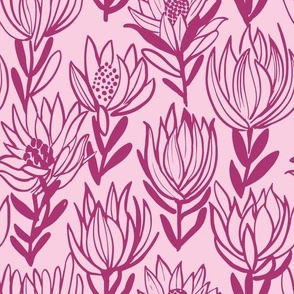 lukka (Leucadendron flower) pink