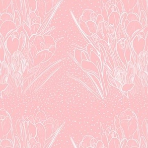 Spring Crocus - Pink