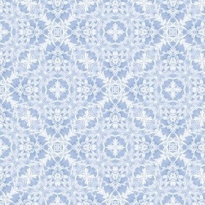 Embroidered White Lace on Wedgewood Blue