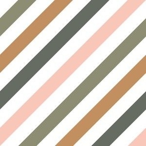 Stripes/linings/diagonal/Textured/multicolored/colorful
