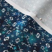 Small Scale Pisces Zodiac Signs Constellations on Teal Galaxy
